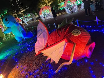 美らヤシパークオキナワ・東南植物楽園に投稿された画像（2022/1/9）