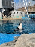 名古屋港水族館に投稿された画像（2022/1/9）