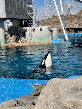 名古屋港水族館に投稿された画像（2022/1/9）