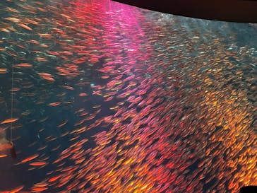 名古屋港水族館に投稿された画像（2022/1/9）