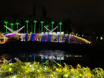 美らヤシパークオキナワ・東南植物楽園に投稿された画像（2022/1/9）