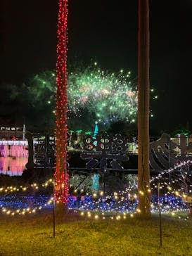 美らヤシパークオキナワ・東南植物楽園に投稿された画像（2022/1/9）