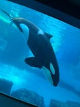 名古屋港水族館に投稿された画像（2022/1/9）