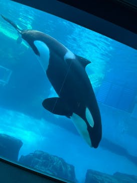 名古屋港水族館に投稿された画像（2022/1/9）