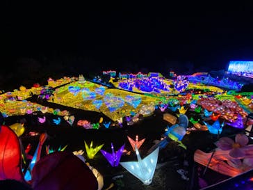 伊豆ぐらんぱる公園に投稿された画像（2022/1/9）