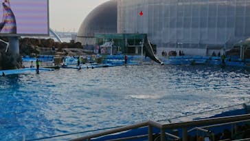 名古屋港水族館に投稿された画像（2022/1/9）