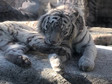 東武動物公園に投稿された画像（2022/1/9）