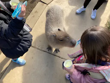 横浜・八景島シーパラダイスに投稿された画像（2022/1/9）