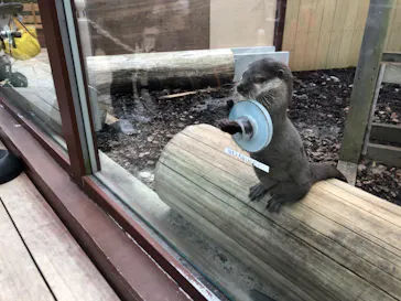 横浜・八景島シーパラダイスに投稿された画像（2022/1/9）