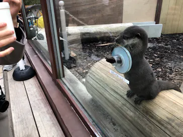 横浜・八景島シーパラダイスに投稿された画像（2022/1/9）