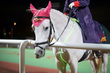 東京メガイルミに投稿された画像（2022/1/9）