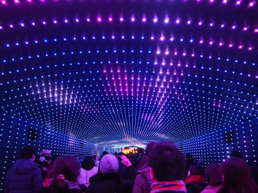 東京メガイルミに投稿された画像（2022/1/9）