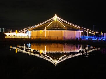 東京メガイルミに投稿された画像（2022/1/9）