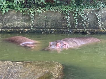 沖縄こどもの国に投稿された画像（2022/1/9）