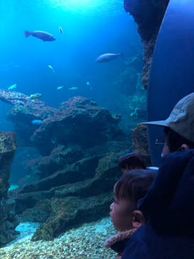 京都水族館に投稿された画像（2022/1/9）