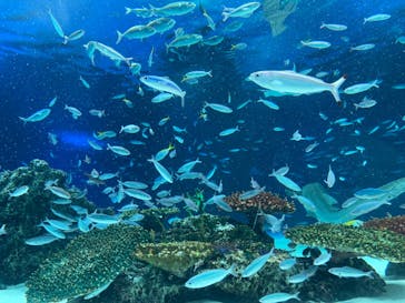 サンシャイン水族館に投稿された画像（2022/1/9）