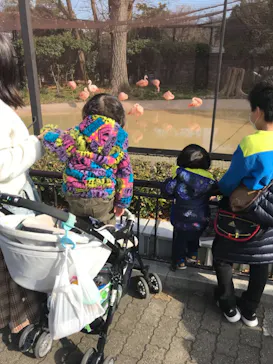 天王寺動物園に投稿された画像（2022/1/9）