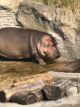 天王寺動物園に投稿された画像（2022/1/9）
