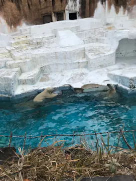 天王寺動物園に投稿された画像（2022/1/9）