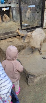 伊豆シャボテン動物公園に投稿された画像（2022/1/9）