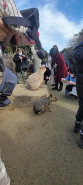 伊豆シャボテン動物公園に投稿された画像（2022/1/9）
