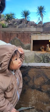 伊豆シャボテン動物公園に投稿された画像（2022/1/9）