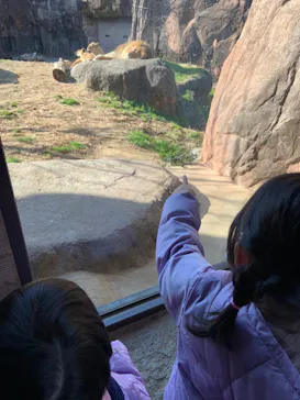 天王寺動物園に投稿された画像（2022/1/9）