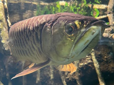 サンシャイン水族館に投稿された画像（2022/1/9）