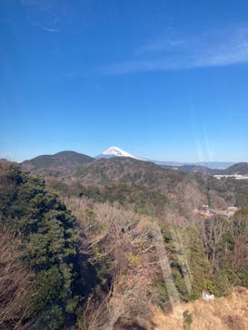 伊豆パノラマパークに投稿された画像（2022/1/9）