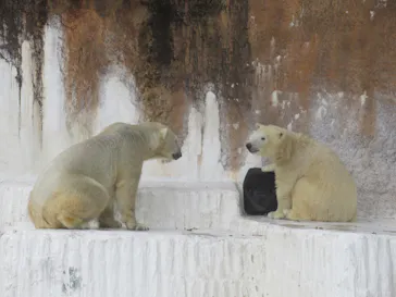 天王寺動物園に投稿された画像（2022/1/9）