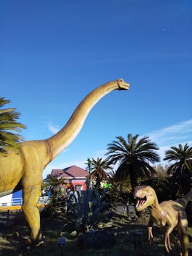 伊豆ぐらんぱる公園に投稿された画像（2022/1/9）