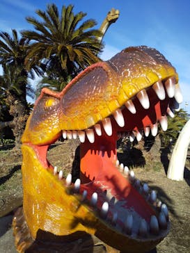 伊豆ぐらんぱる公園に投稿された画像（2022/1/9）