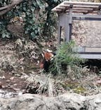 よこはま動物園ズーラシアに投稿された画像（2022/1/9）