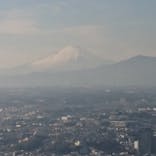 横浜ランドマークタワー 69階展望フロア スカイガーデンに投稿された画像（2022/1/9）