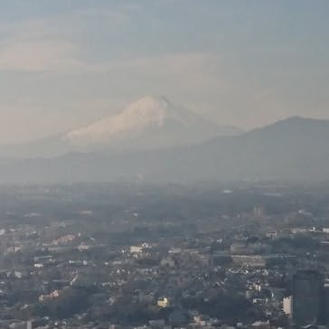 横浜ランドマークタワー 69階展望フロア スカイガーデンに投稿された画像（2022/1/9）