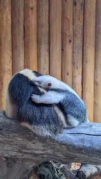 神戸どうぶつ王国に投稿された画像（2022/1/9）