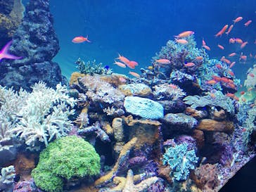 サンシャイン水族館に投稿された画像（2022/1/9）