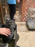 Moff animal world MARK IS みなとみらい店に投稿された画像（2022/1/9）