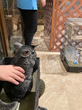 Moff animal world MARK IS みなとみらい店に投稿された画像（2022/1/9）