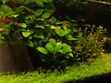 サンシャイン水族館に投稿された画像（2022/1/9）