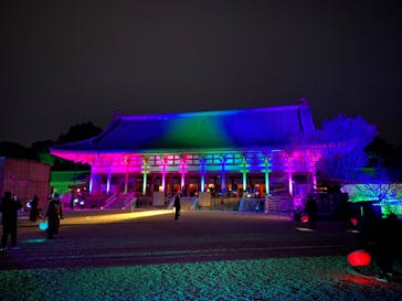 NAKED ヨルモウデ 平安神宮に投稿された画像（2022/1/9）