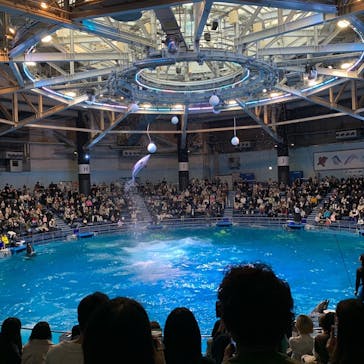 マクセル アクアパーク品川に投稿された画像（2022/1/9）