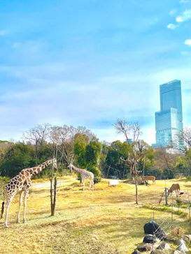 天王寺動物園に投稿された画像（2022/1/9）