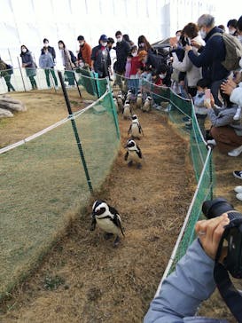 名古屋港水族館に投稿された画像（2022/1/9）
