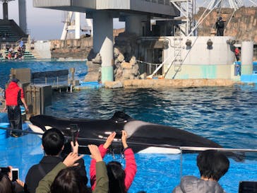 名古屋港水族館に投稿された画像（2022/1/9）
