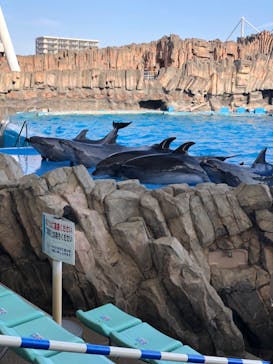 名古屋港水族館に投稿された画像（2022/1/9）