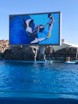 名古屋港水族館に投稿された画像（2022/1/9）