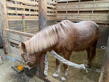 クリオステーブルに投稿された画像（2022/1/9）