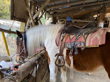 クリオステーブルに投稿された画像（2022/1/9）