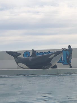 鴨川シーワールドに投稿された画像（2022/1/9）